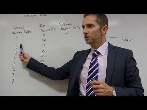 The Law of Diminishing Marginal Returns