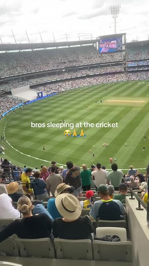 “is the game over yet ahh” 😭#fyp #viral #foryou #foryoupage #cricket @✨ 🏀 🕺 🏀 ✨