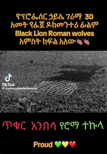Black Lions: Roman Wolves Original title: Black Lions - Roman Wolves 2026 8h 51m Documentary A powerful historical epic exploring Ethiopia's fight against Italian colonialism, weaving together themes of cultural identity, liberation, and the untold stories of resistance. Director Haile Gerima Writer Haile Gerima Overview Decades in the making, Haile Gerima's sweeping survey of Italy's brutal colonial legacy in Ethiopia is a monumental reckoning with suppressed history. With a balladeer's spirit,
