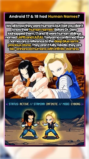 Android 17 & Android 18 have HUMAN NAMES? #dragonballz #dbz #shorts #fyp #android17 #dragonball
