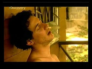 Bekasztlizva külföldön - Sandra Gregory