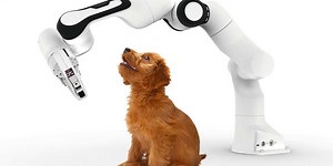 Cobots Act Like Puppies to Better Communicate with Humans