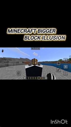 Minecraft bigger block illusion