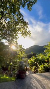 Take time to appreciate life. As the year ends, let us be grateful for the blessings and joyful moments it has brought. At 88 Hotspring Resort, we thank you for being part of our journey and look forward to more moments of relaxation and gratitude ahead. ❤✨🌴 #88HotspringResort #StayingAt88 #GratefulMoments #EndOfYearReflections #RelaxAndUnwind #MomentsAt88 #peaceandserenity | 88 Hot Spring Resort