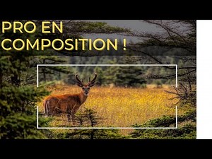Master PHOTO COMPOSITION: Six ADVANCED Techniques
