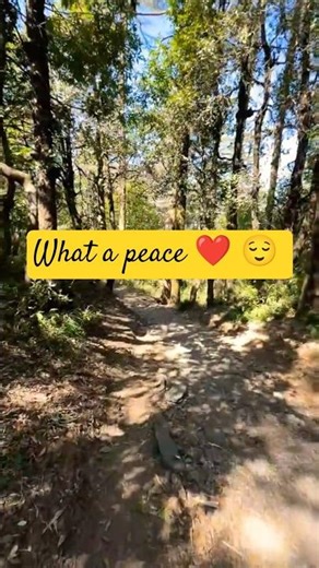 #nature #explore #travel #mountains #uttarakhand #youtubeshorts