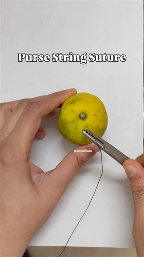 Purse String Suture on a lemon 🍋