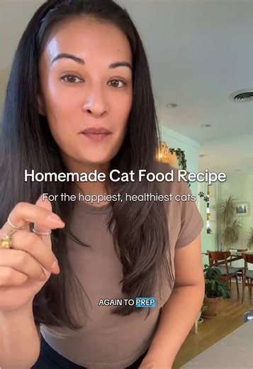 Homemade Healthy Cat Food Recipe — Balanced 6–7 Day Batch
