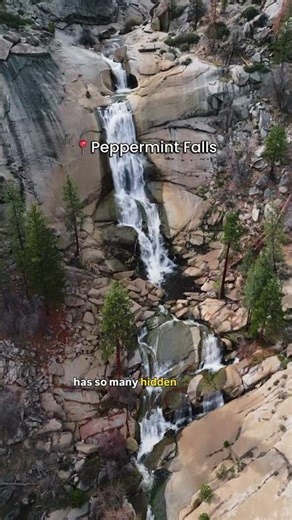 Sequoia National Forest Overshadowed by the National Park?