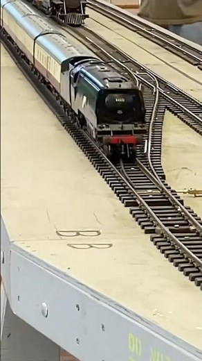 Live Steam Race #railfanning #livesteamtrains #livesteam