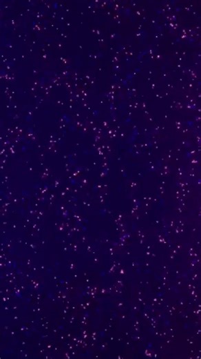 Violet Explosion