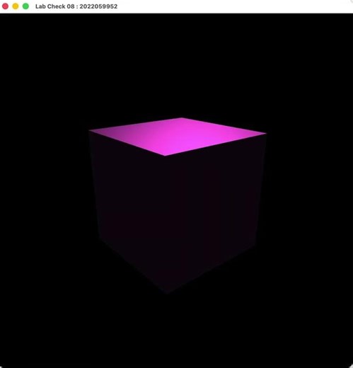 [CSE4020] Computer Graphics Lab Check 08