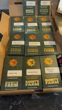 21 Genéticas🧬 barney’s Farm #Barney’sfarm #amsterdam #cannabidiol #amsterdamvibes