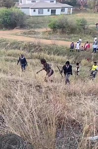 Cellphone theft gone wrong after community intervention. | Prime Time News za