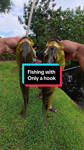 Bare hook fishing challenge #fishing | peacock bass
