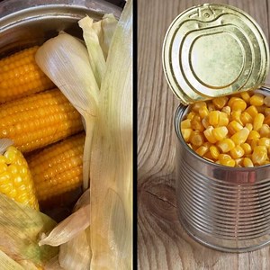 Corn Water For Plants: The Benefits Explained - Flourishing Plants
