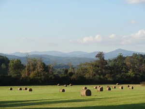 Virginia Muni Bond Funds: A Guide to Safe Investments