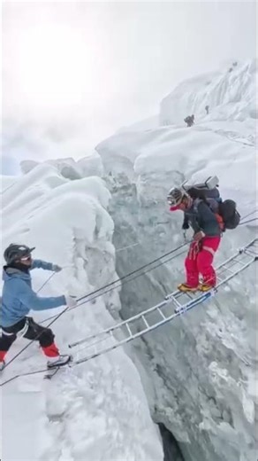 Sherpa guides are crossing over crevasse ....Video credit @migmar95_sirdar #expedition #climbing