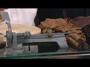The process of rolling a cigar