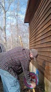 Bass Cleaning - How to safely clean a home made upright 2 string bass. #monsterbass #bassextremes