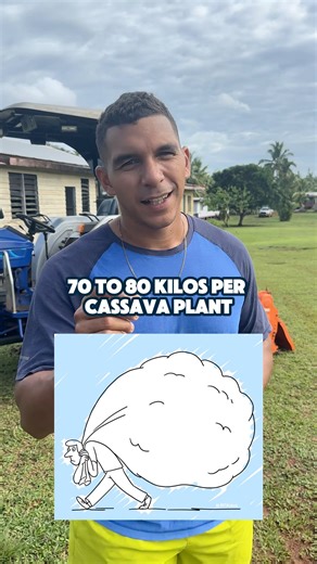 How do you plant Cassava? | The Waka Family