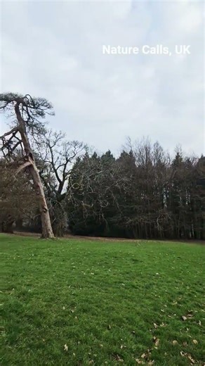 THE PONTYPOOL PARK #uk #wales #southwales #england