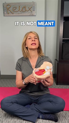 What is the function of the perineum?