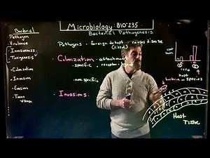 Bacterial Pathogenesis 1