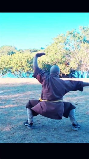 Legendary Shaolin kungfu Wu bu quan🔥powerful Technique#shorts