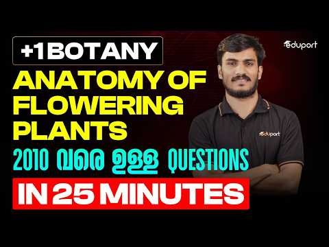 Plus One Botany | Anatomy of Flowering Plants | 2010 വരെ ഉള്ള Questions | Eduport Plus One