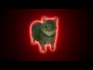 ⚡Oiiaioooooiai, But Psytrance Style⚡Spinning Cat Meme 🎵