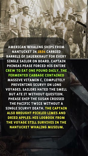 The 1830s American Recipe That Kept Sailors From Scurvy on 4-Month Voyages #survivalskills