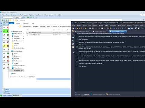 iServer RAT (Seed Finder )