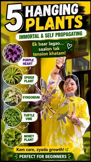 5 Best Hanging Plants That Never Die | Low Maintenance & Easy to Propagate