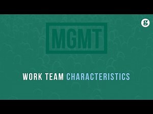 Work Team Characteristics