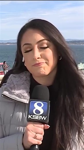 Search efforts continue Monday for a missing woman off Lovers Point after a suspected shark attack on Sunday. Read more: https://www.ksbw.com/article/witness-shark-body-mouth-swimmer-pacific-grove/69840400 | KSBW TV Action News 8