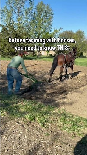 Before farming with horses, you need to know THIS!!