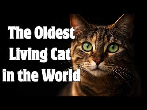 The Oldest Living Cat in the World