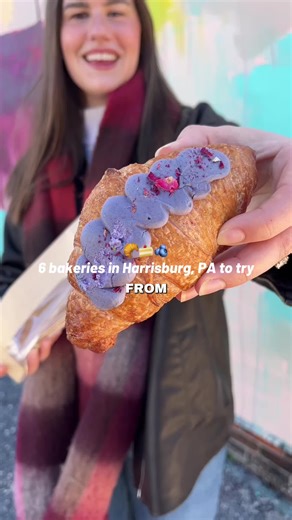 🥐🍰We did a bakery crawl in Harrisburg last weekend, stopping by six local bakeries and coffee shops! We absolutely found some new favorites 🫐🍪 We stopped by Raising the bar bakery for an Ube croissant, Salted Butter Bakery for a lemon blueberry roll, wake and bake for a crème brûlée cheesecake, Anna Rose bakery for their chocolate tuxedo mousse cake, Alvaro’s for fresh cannoli, and Just Baked Cakes and Pies for a vanilla cake 🥐🫐🍰 👇Is there a bakery you love in Central Pennsylvania that y