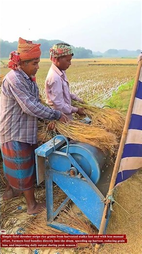 Portable Rice Threshing