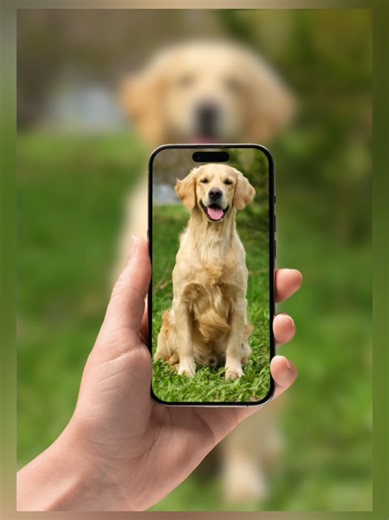 Amazing and beautiful Canva design idea tutorial! #canva #design #canvadesign #canvatutorial #designinspiration