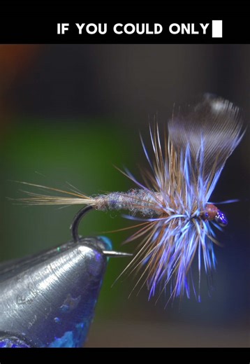 Tie the Iconic Adams Dry Fly for Trout Fishing