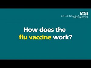 How does the flu vaccine work?