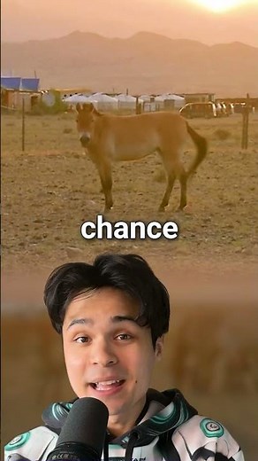 How Scientists Brought an Animal Back from Extinction