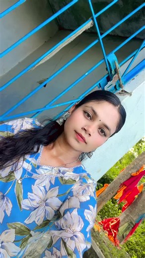 Funny Hamster Song Compilation