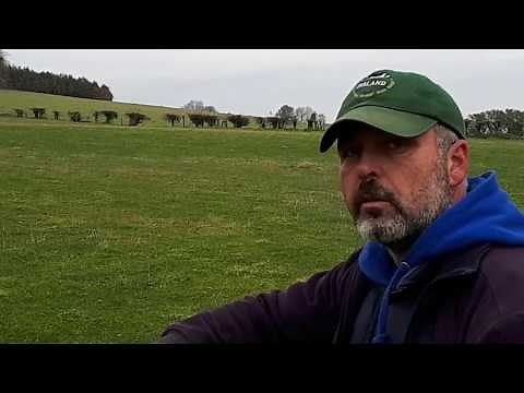How to Train a sheepdog for trials