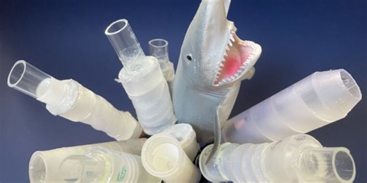 These 3D-printed pipes inspired by shark intestines outperform Tesla valves