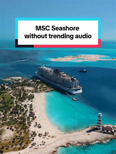 Who Will We See on MSC Seashore This Year? Cruise Guests & Highlights