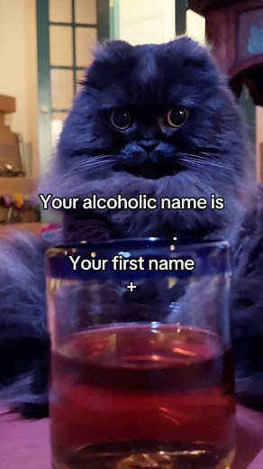 Wait…WHAT??? #cat #cats #gatos #gato #catsoftiktok #tiktokcats #tiktokcat #fyp #gatostiktok #gatosdetiktok #catlover #catlovers #catlife #chat #kot #katze #neko #pets #pet #petsoftiktok #tiktokpets #meow #cute #cutecat #cutecats #catvideo #catvideos