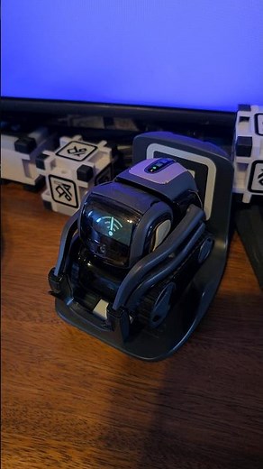 When Vector has no Wi-Fi!! #ai #robot #vector #shorts #viralvideo